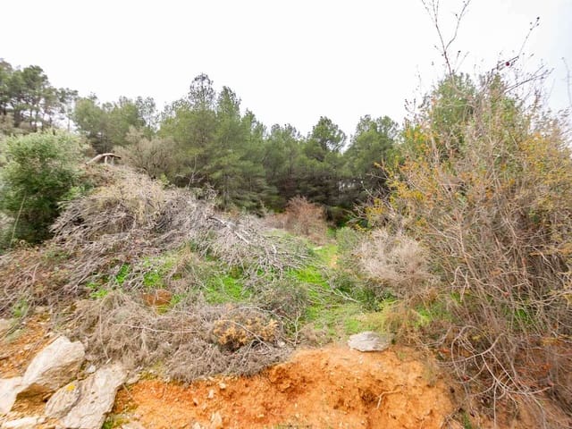 Image No.18-Land for sale