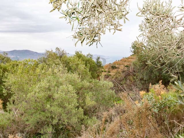 Image No.21-Land for sale