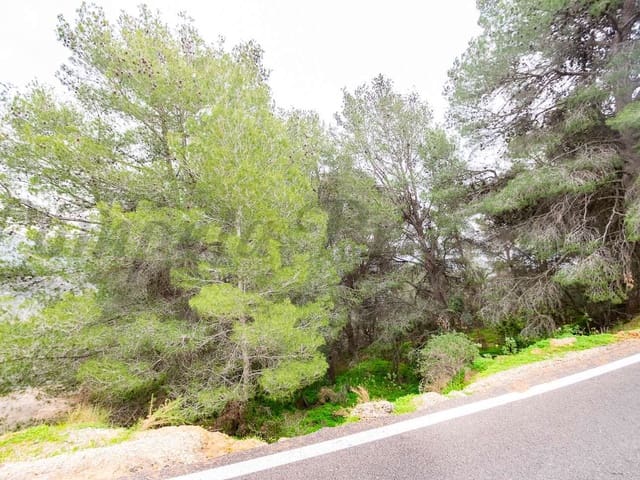 Image No.3-Land for sale