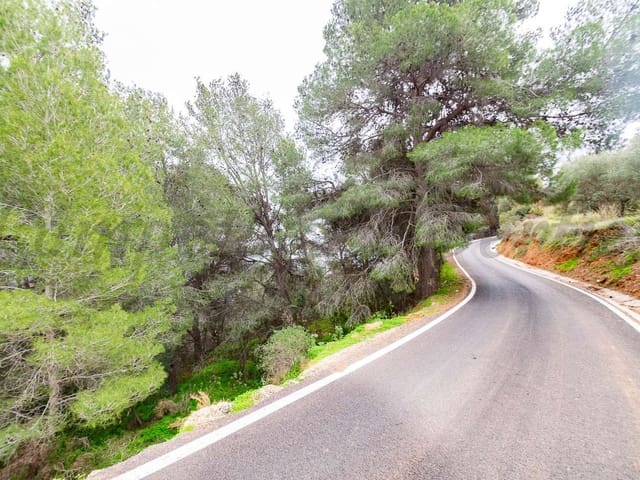 Image No.4-Land for sale