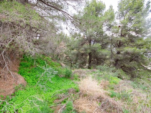 Image No.9-Land for sale