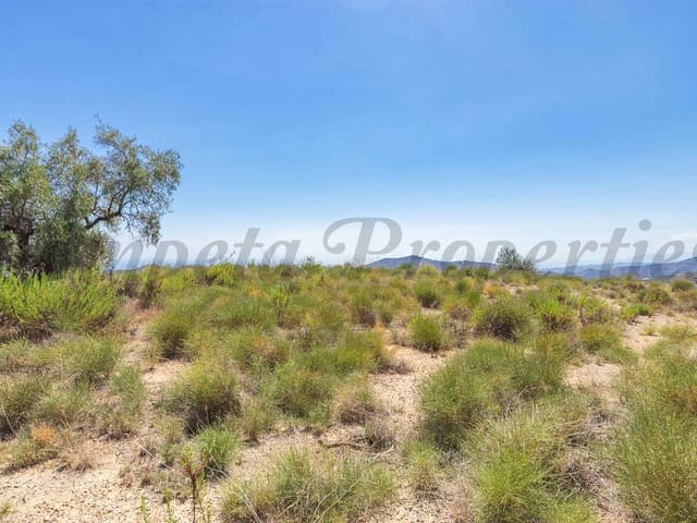 Image No.2-Land for sale