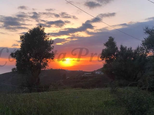 Image No.31-5 Bed Finca for sale