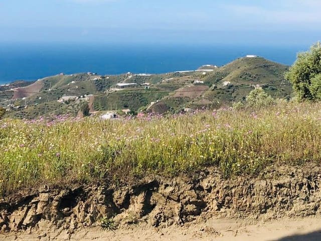 Image No.34-5 Bed Finca for sale