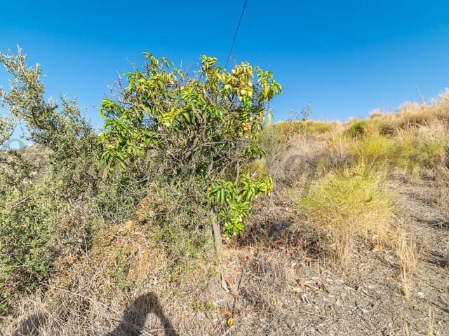 Image No.6-Land for sale