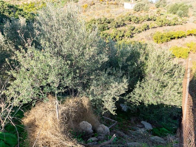 Image No.3-Land for sale