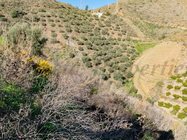 Image No.4-Land for sale