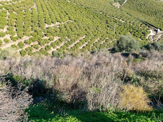 Image No.6-Land for sale