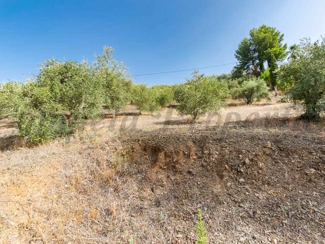 Image No.2-Land for sale