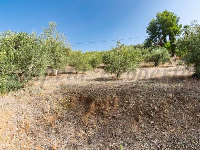 Image No.3-Land for sale