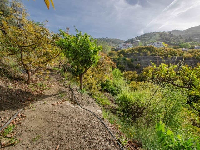 Image No.8-1 Bed Finca for sale