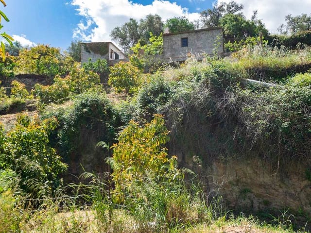 Image No.2-Finca for sale