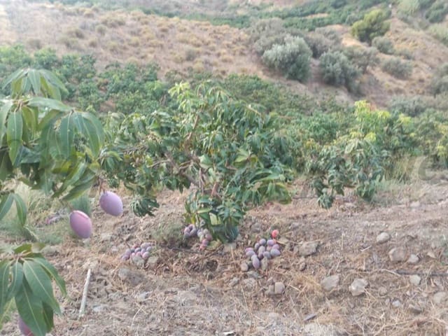 Image No.2-Land for sale