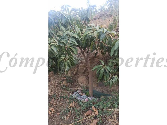 Image No.3-Land for sale