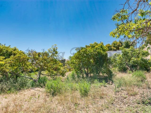 Image No.3-Land for sale