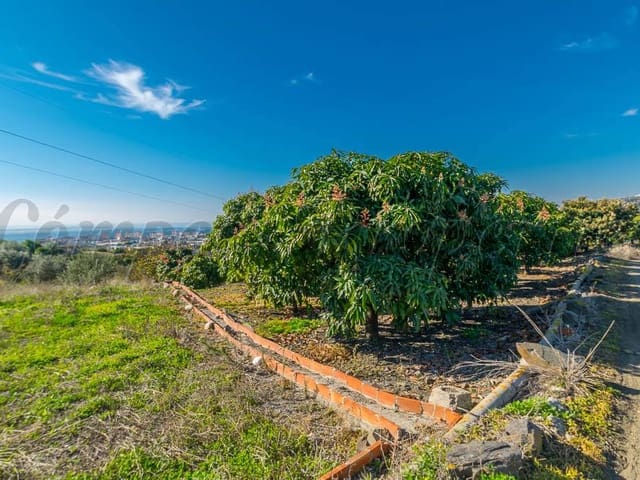 Image No.11-Land for sale