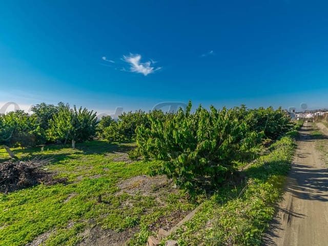 Image No.9-Land for sale