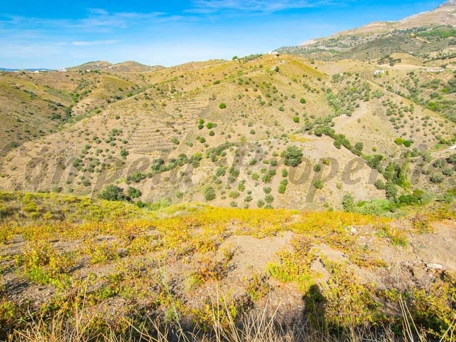 Image No.3-Land for sale