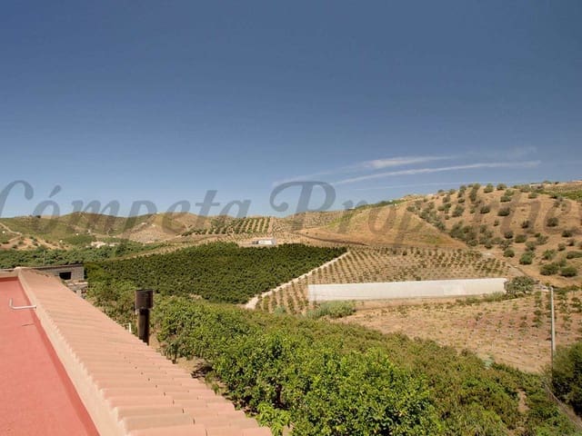 Image No.15-3 Bed Finca for sale