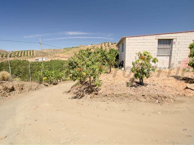 Image No.16-3 Bed Finca for sale