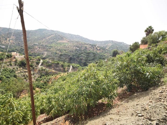 Image No.5-Land for sale