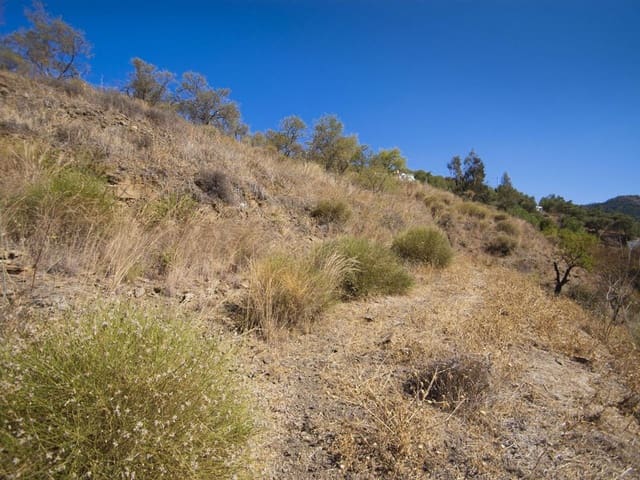 Image No.4-Land for sale