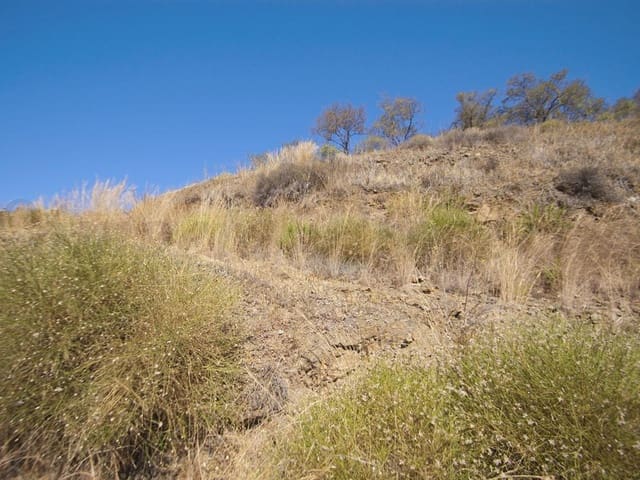 Image No.5-Land for sale