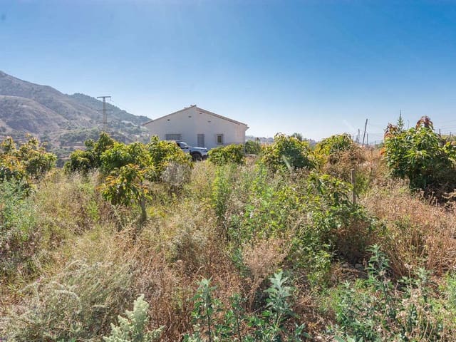 Image No.34-3 Bed Finca for sale