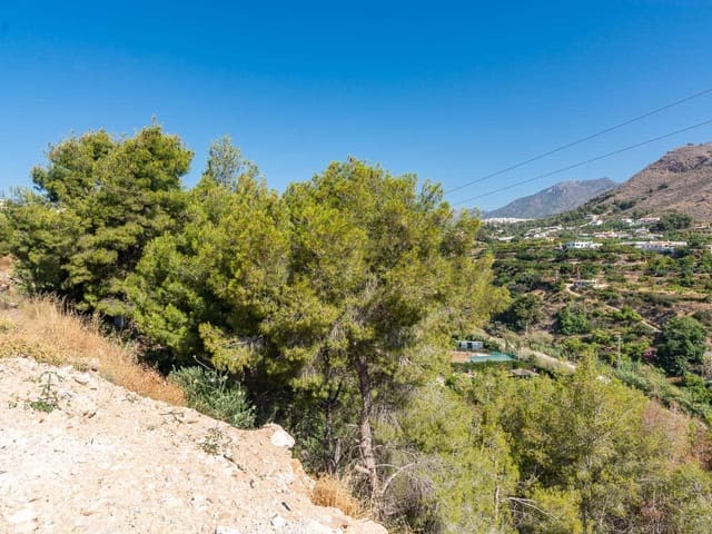 Image No.37-3 Bed Finca for sale