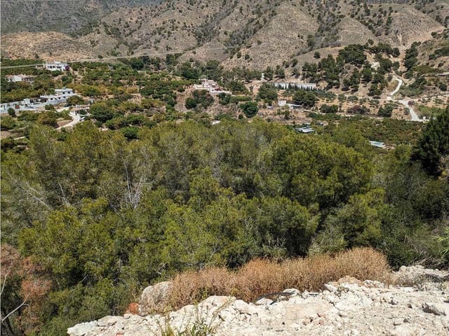 Image No.5-3 Bed Finca for sale