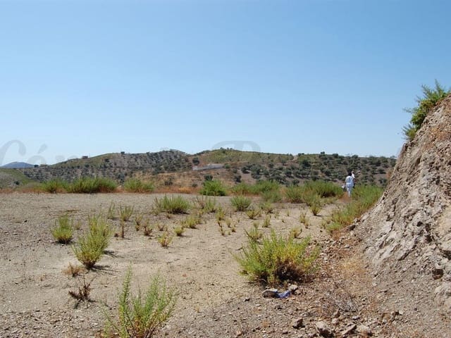 Image No.3-Land for sale