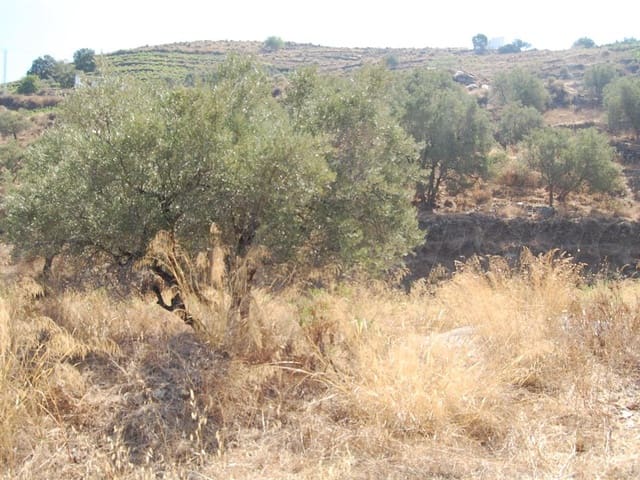 Image No.1-Land for sale