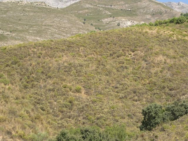 Image No.2-Land for sale