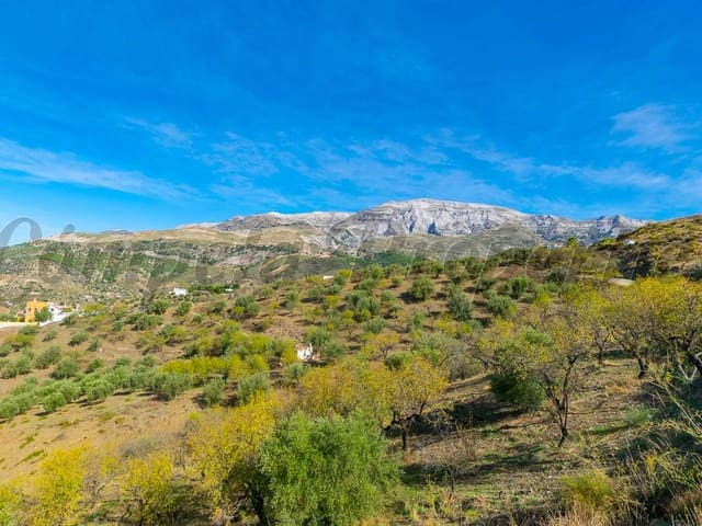 Image No.1-Land for sale