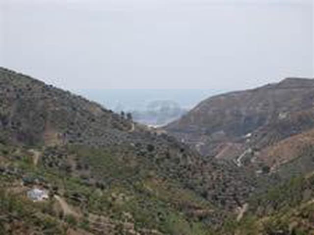 Image No.4-Land for sale