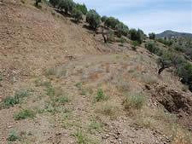 Image No.5-Land for sale