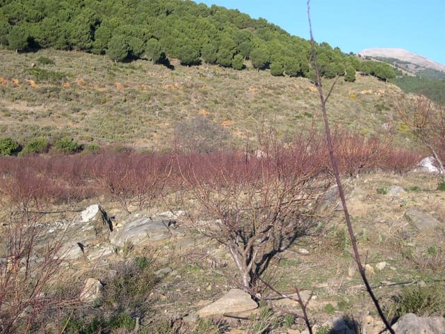 Image No.6-Land for sale