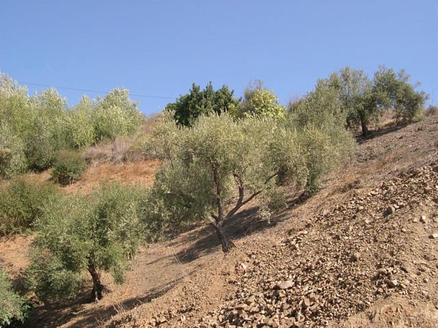 Image No.14-Land for sale