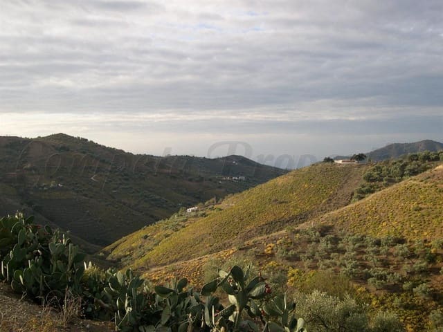 Image No.2-Land for sale