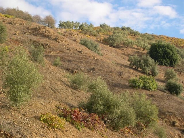 Image No.6-Land for sale