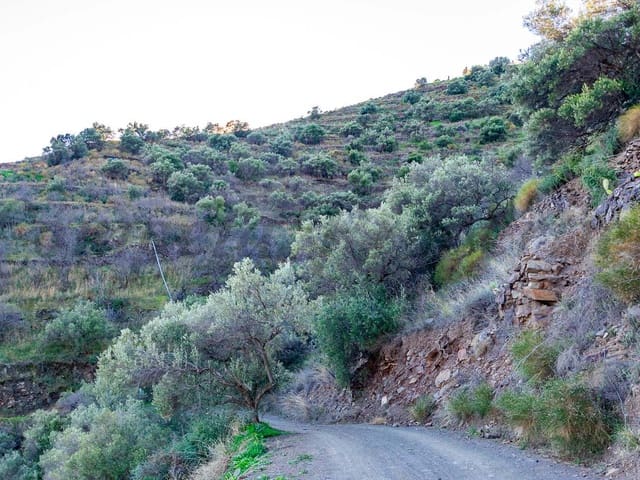 Image No.5-Land for sale