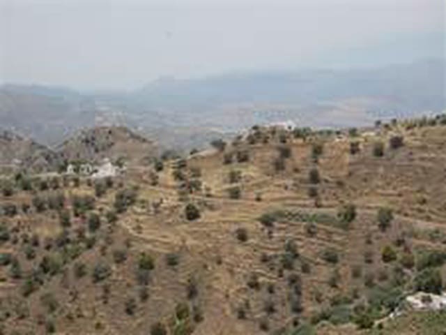 Image No.2-Land for sale