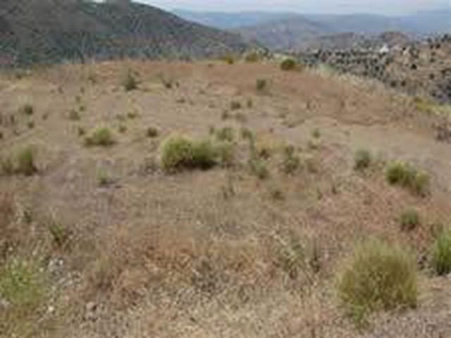 Image No.6-Land for sale