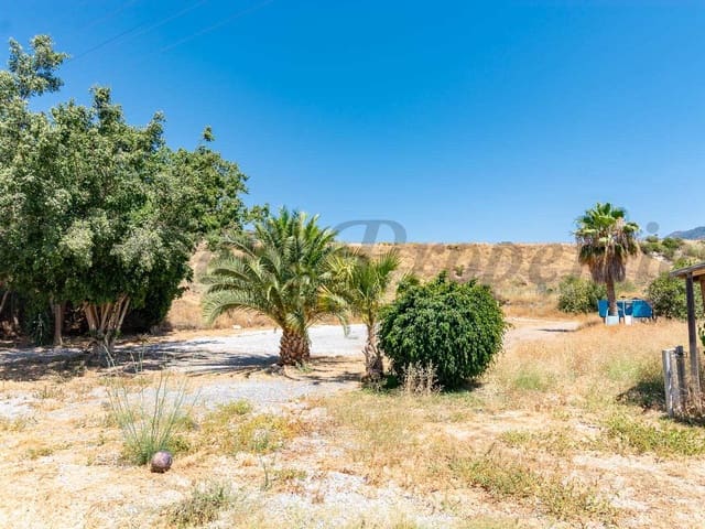 Image No.9-1 Bed Finca for sale