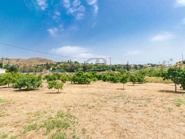 Image No.2-3 Bed Finca for sale