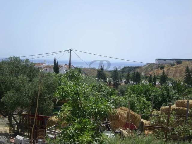 Image No.5-3 Bed Finca for sale