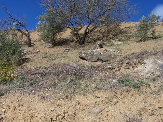 Image No.2-Land for sale