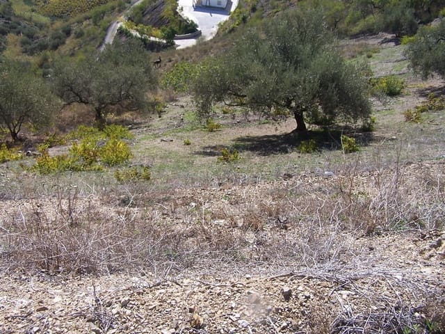 Image No.3-Land for sale