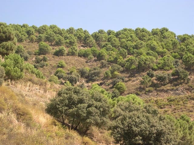 Image No.3-Land for sale