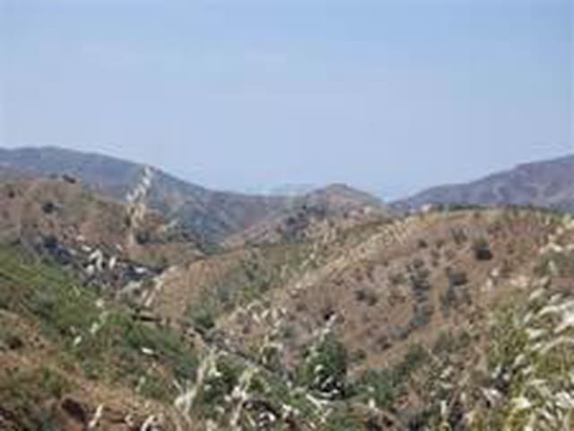 Image No.2-Land for sale